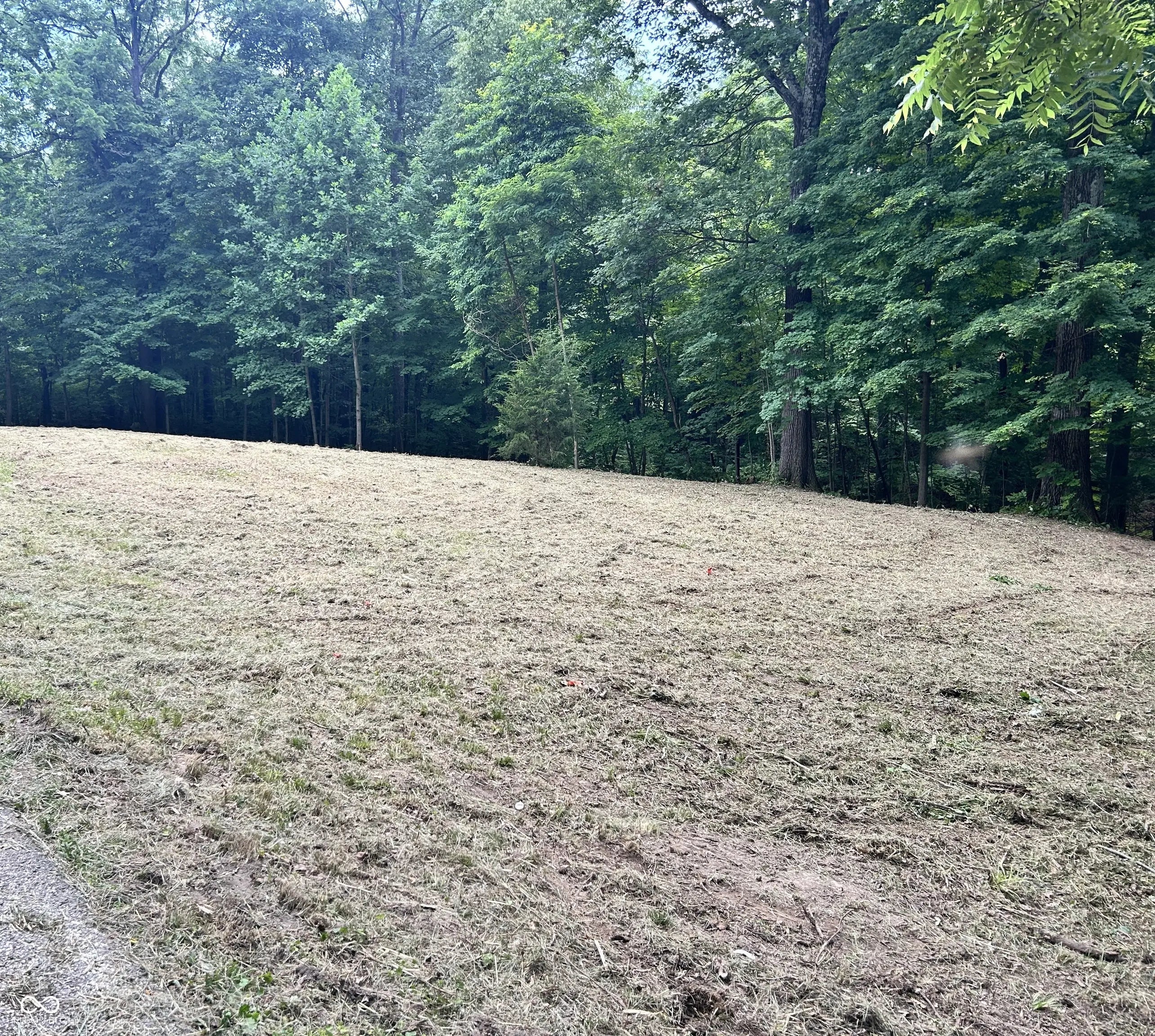 Paradise Lake Road, Martinsville