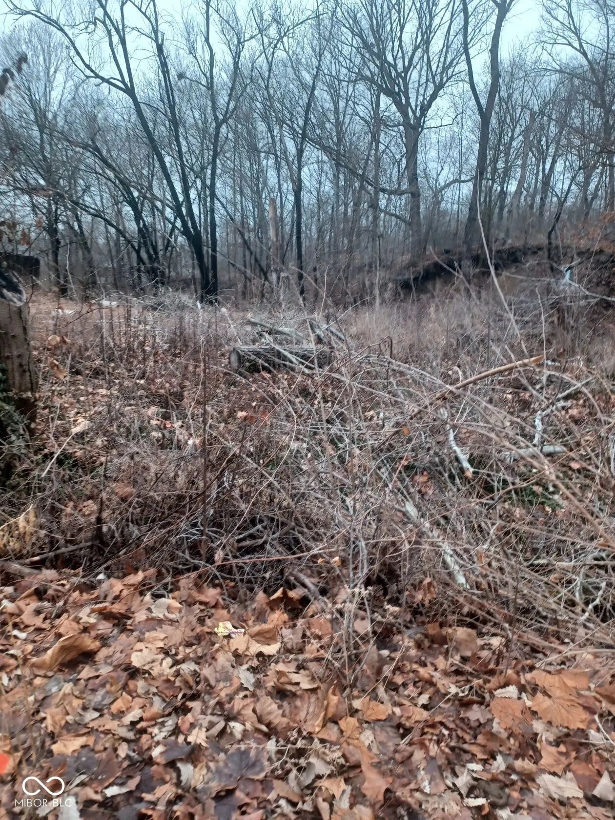 4702 Lesley Avenue, Indianapolis