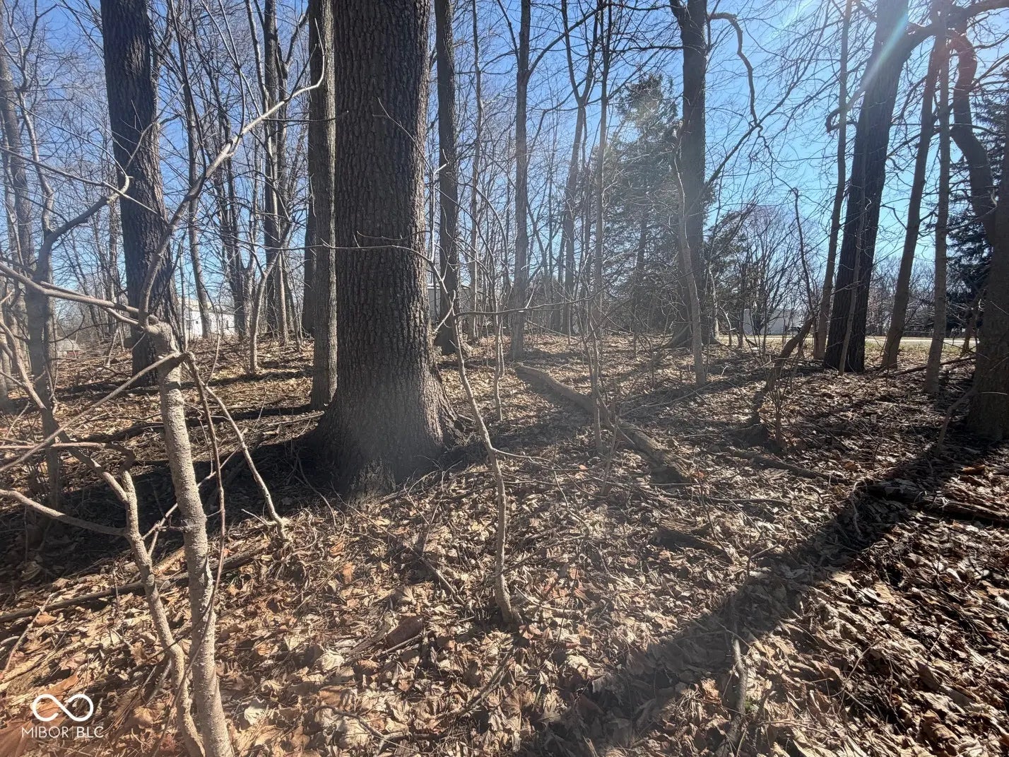 Photo of 10774 E State Road 32 Crawfordsville, IN 47933