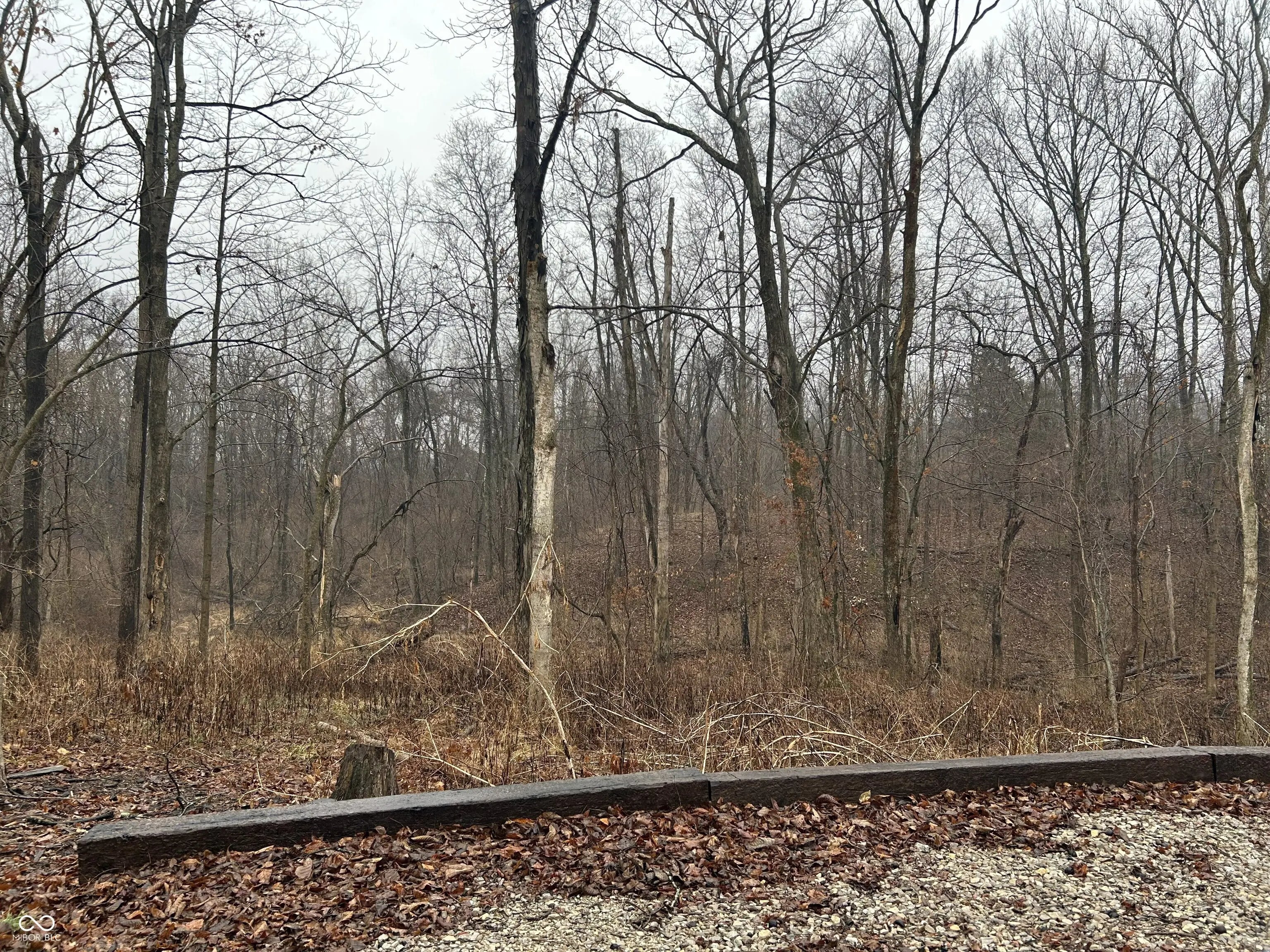 7793 S Howard Prince Drive, Nineveh