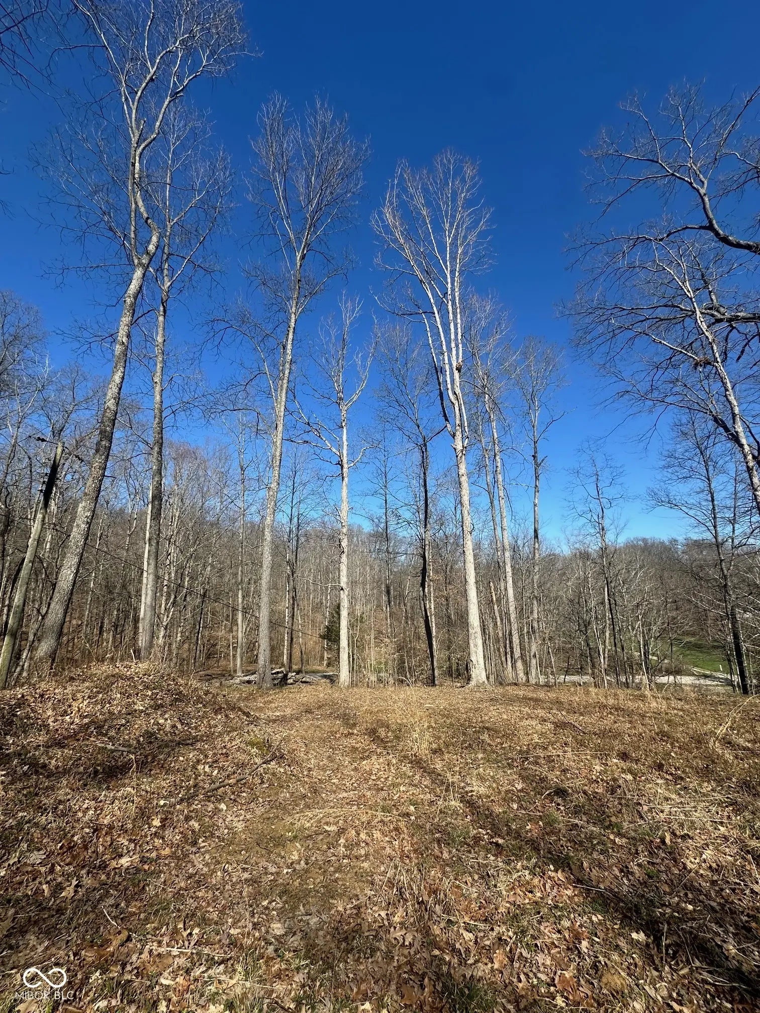 Photo of N Lasalle Road Morgantown, IN 46160