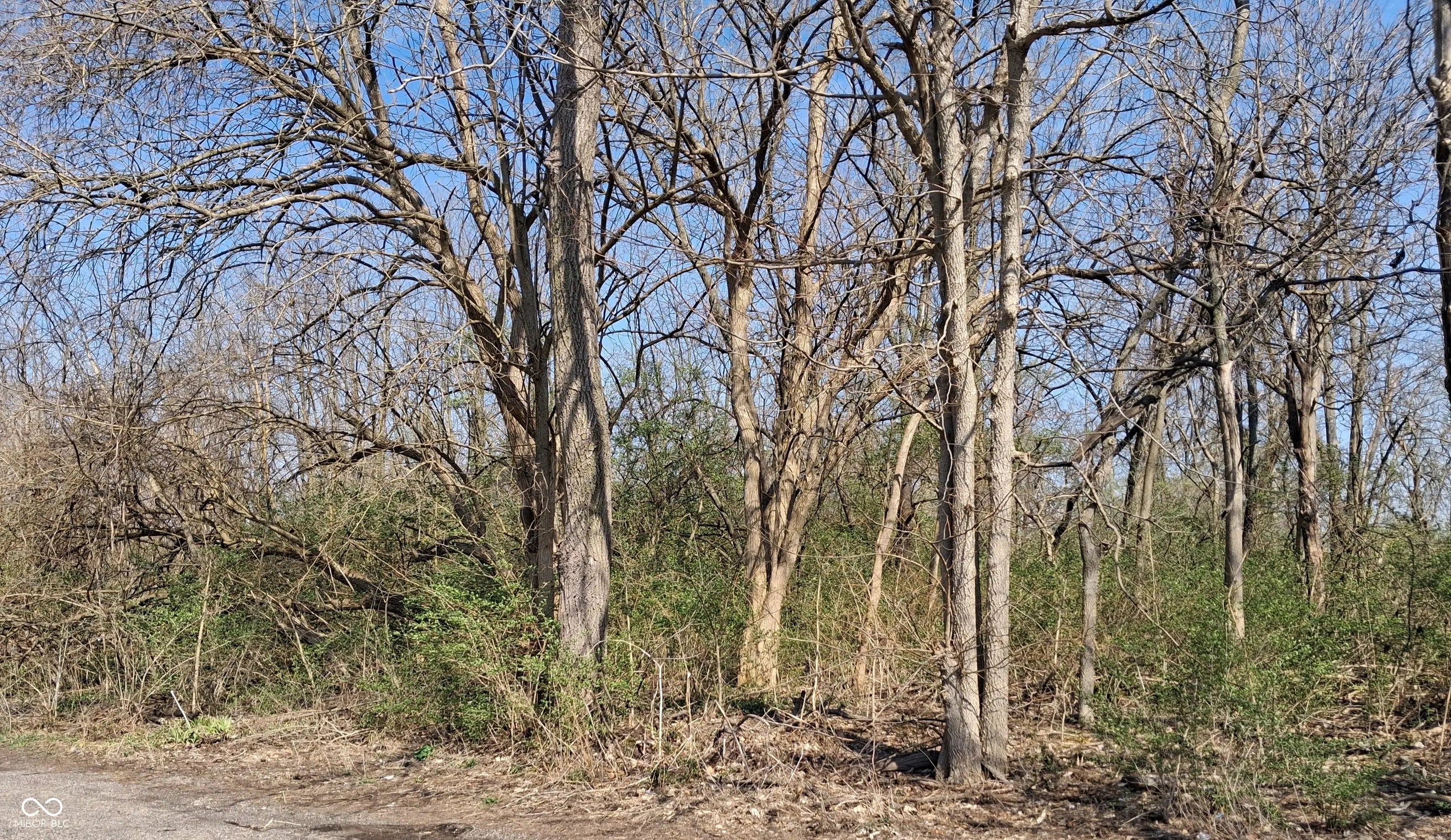 1843 Luther Street, Indianapolis