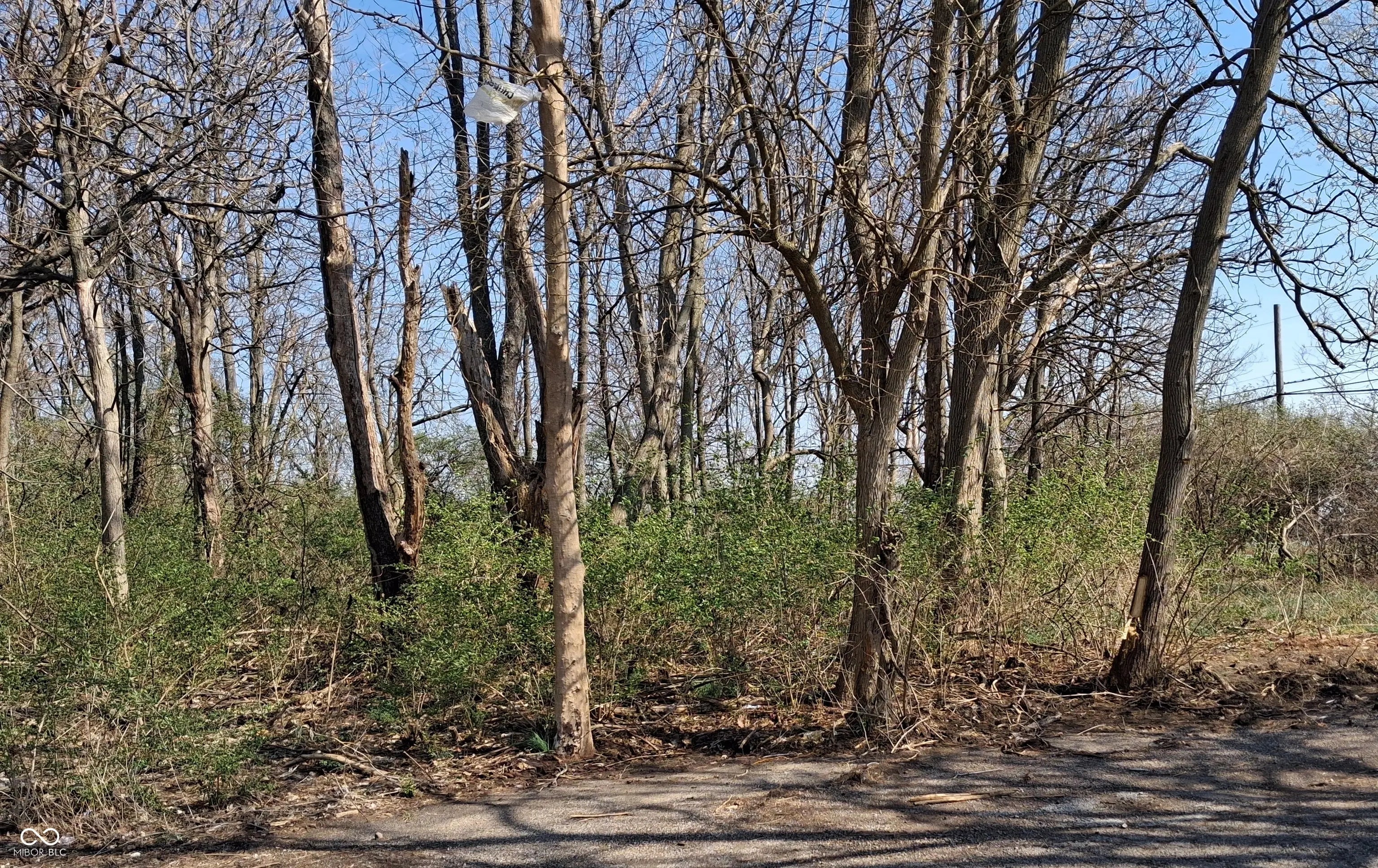 Photo of 1845 Luther Street Indianapolis, IN 46203