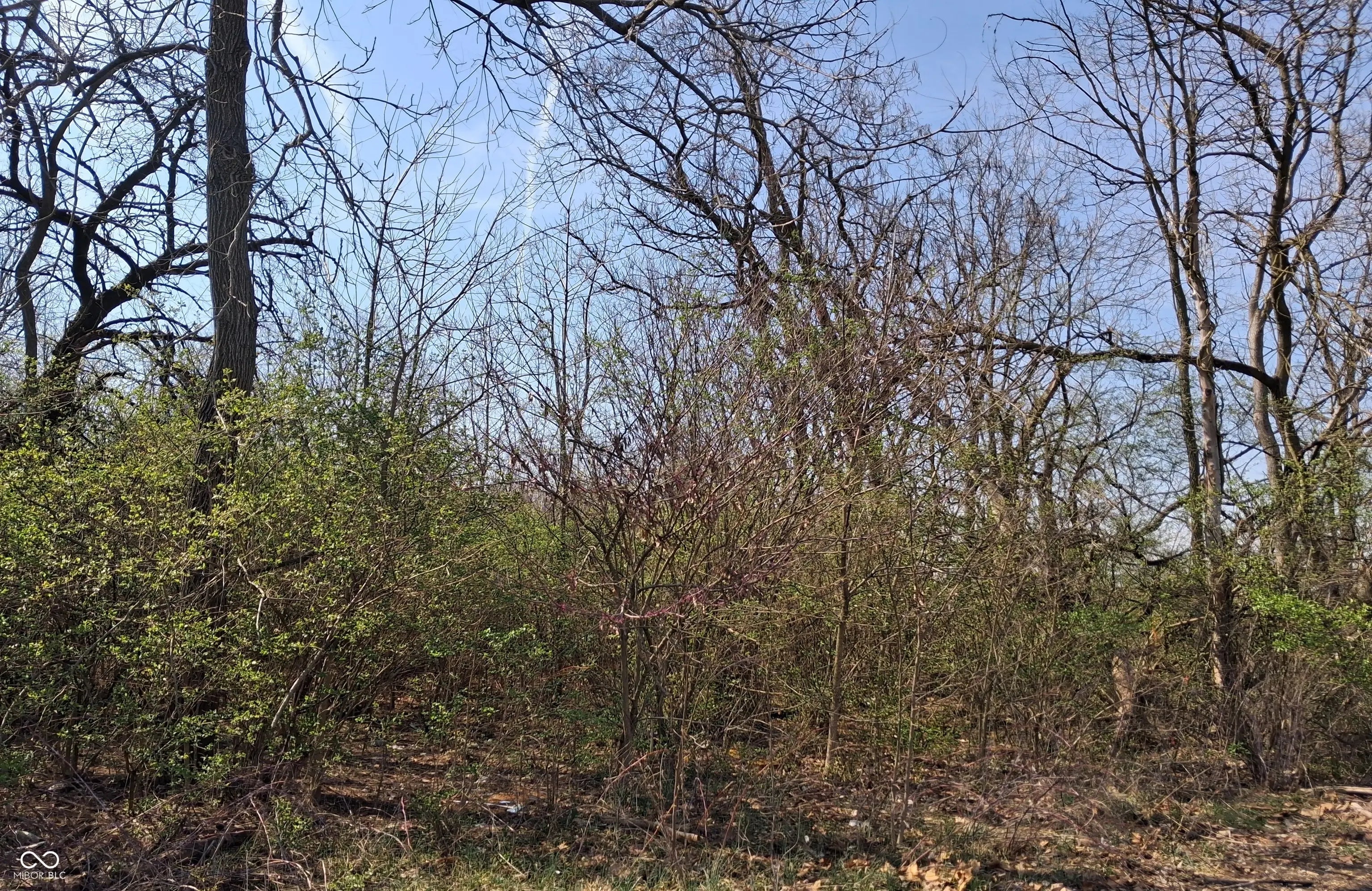 1844 Zwingley Street, Indianapolis