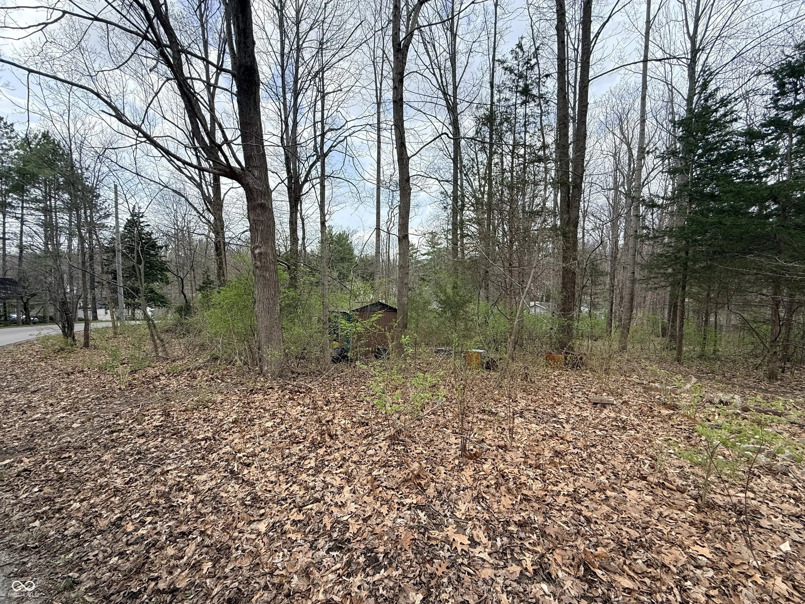 Photo of Hinshaw Drive Nineveh, IN 46164