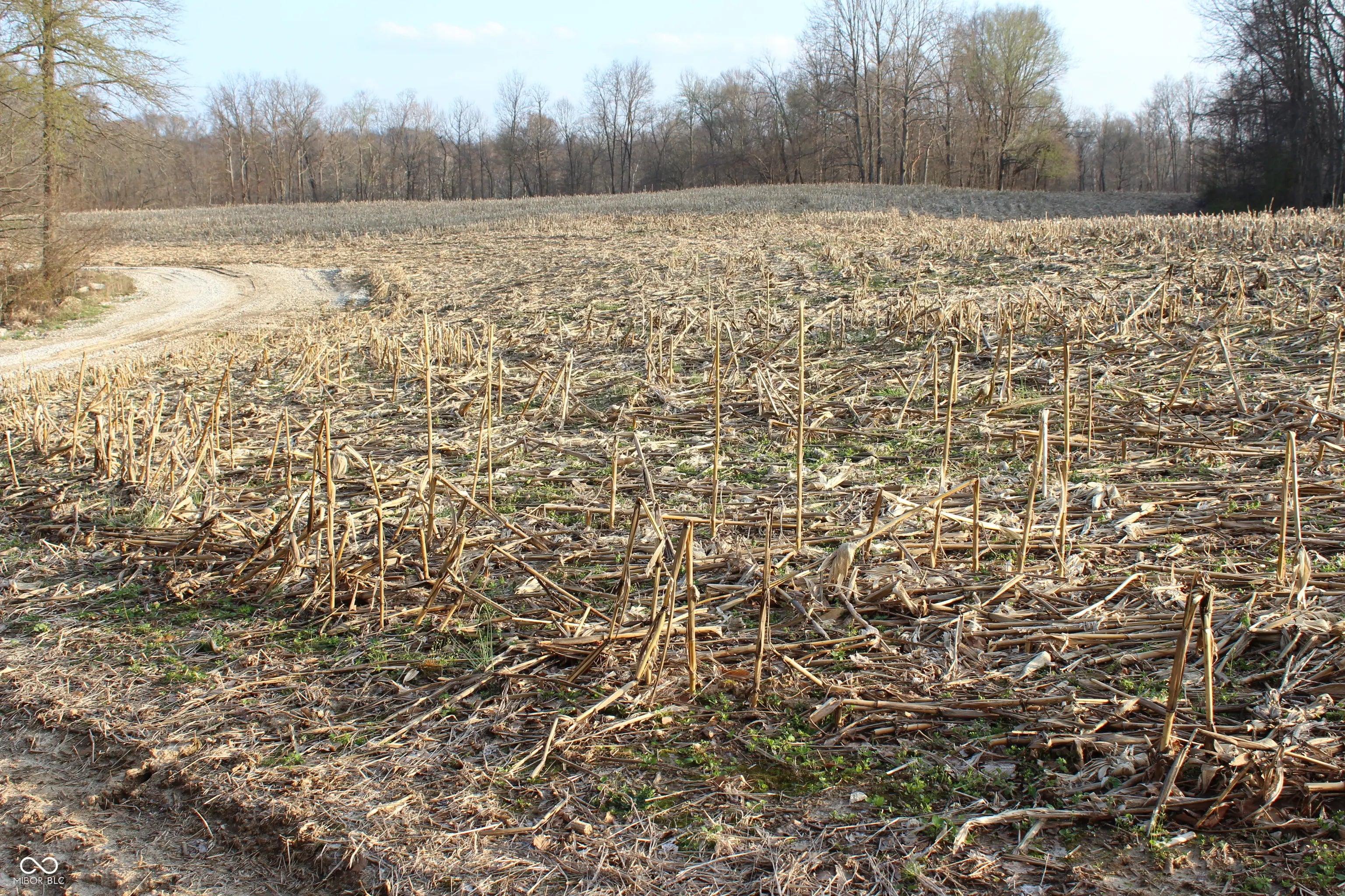 Photo of 400 W Rural Plat Lot 2 Greencastle, IN 46135