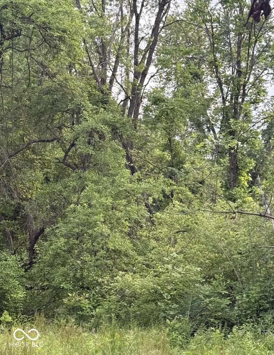 2972 Opal Street, Indianapolis