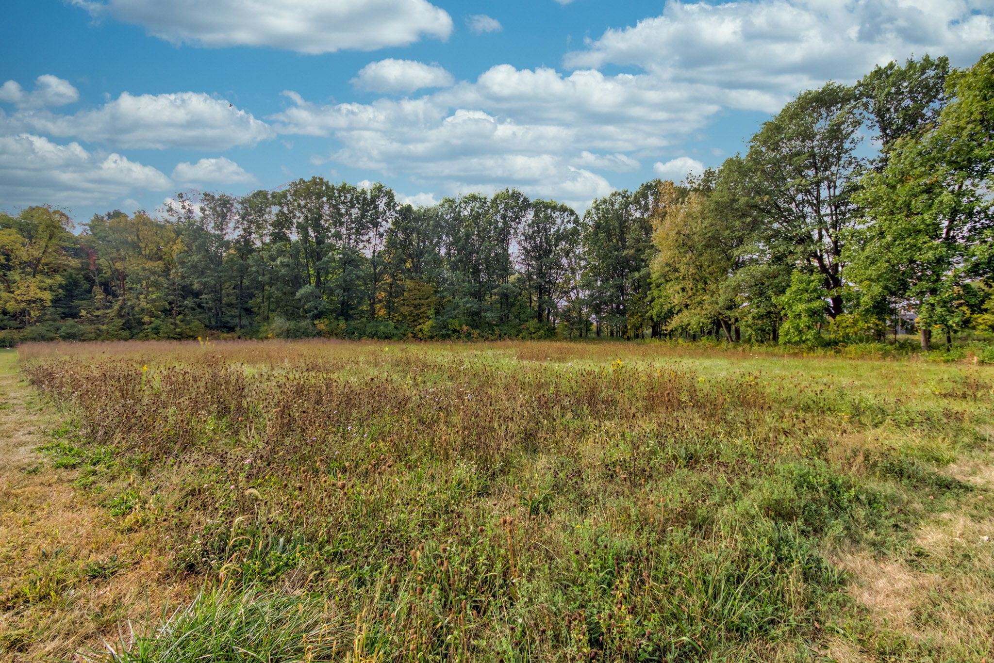 7755 Beck Lane, Zionsville