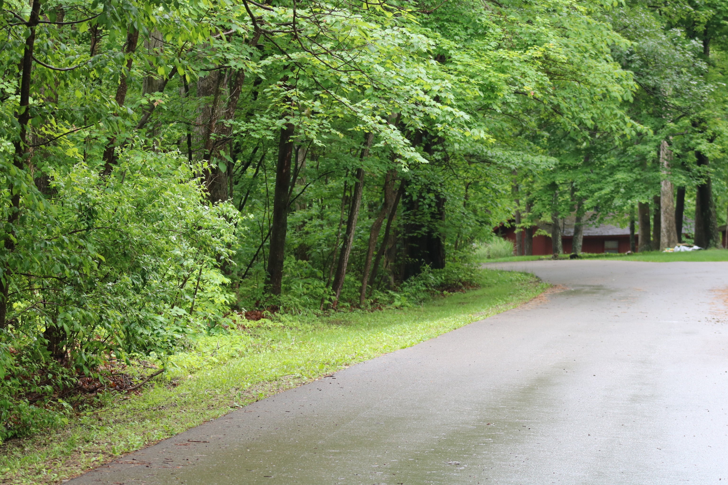 Photo of Badger Drive Nineveh, IN 46164