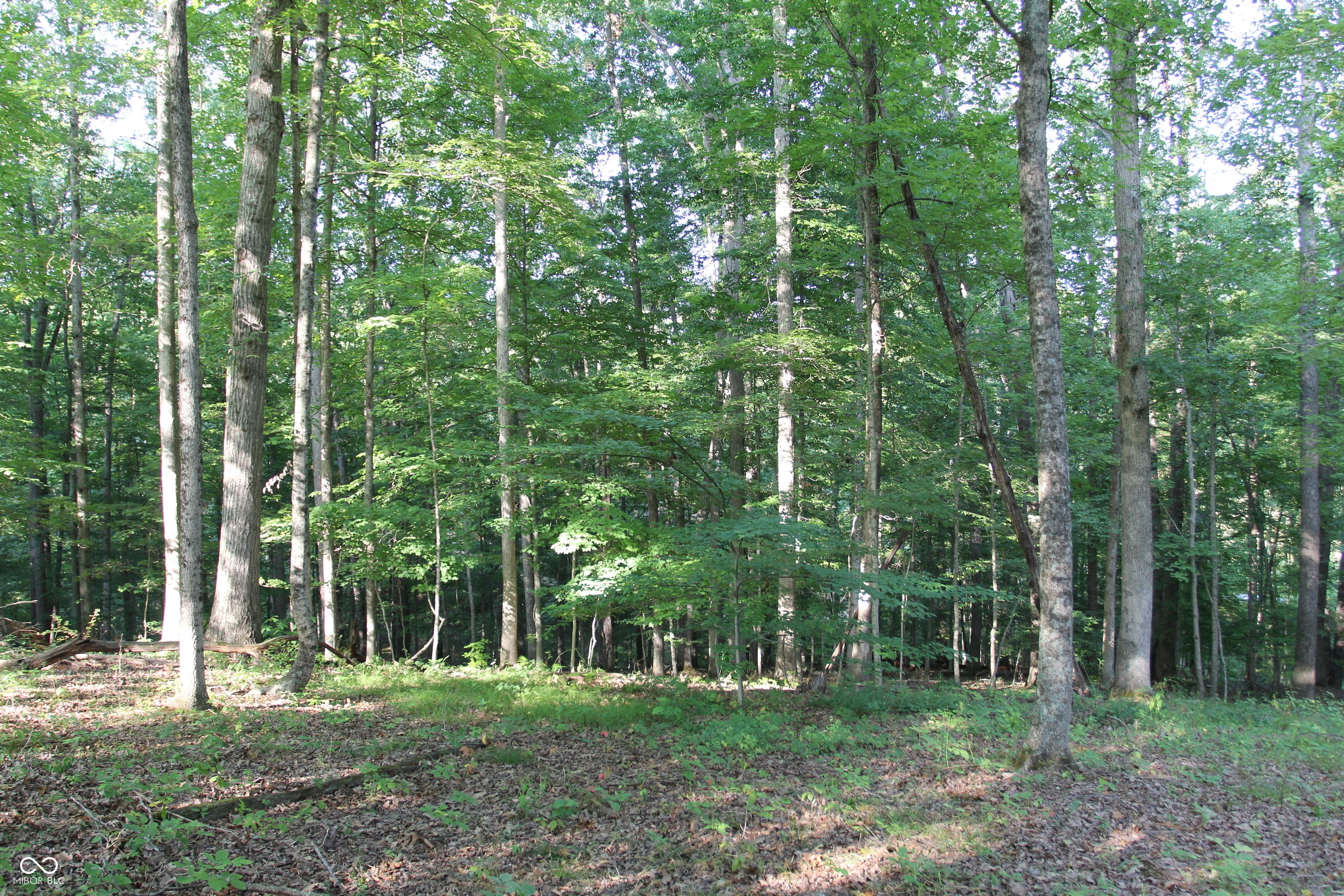 Lot 20 Ridgeway Drive, Nashville