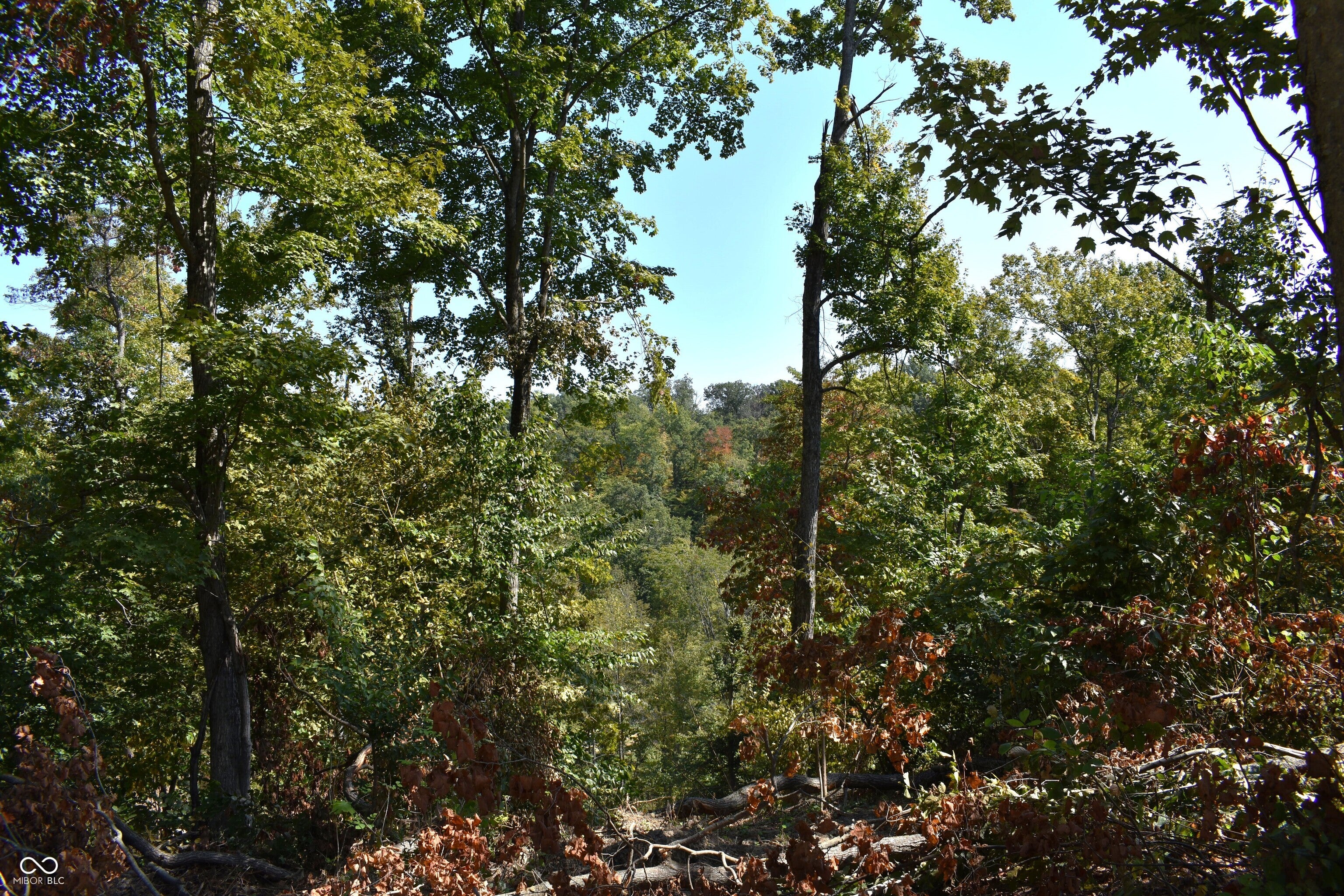 0 Goat Hollow Estates Lot 1, Martinsville