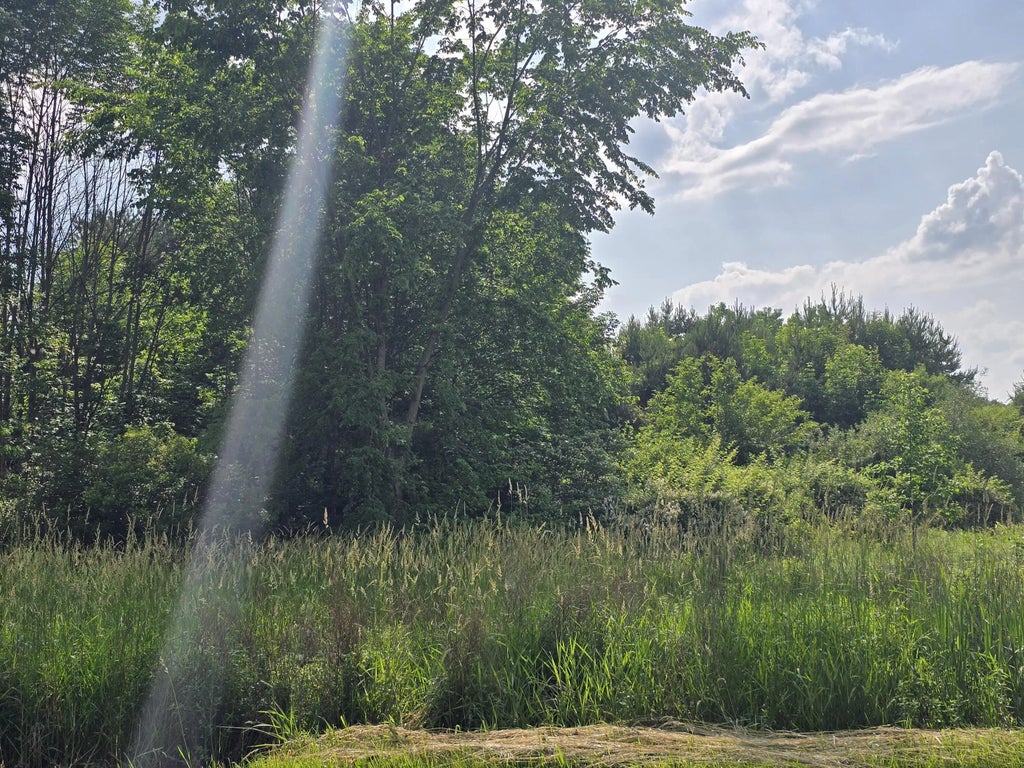 Vl Cedar Creek Road, Delton