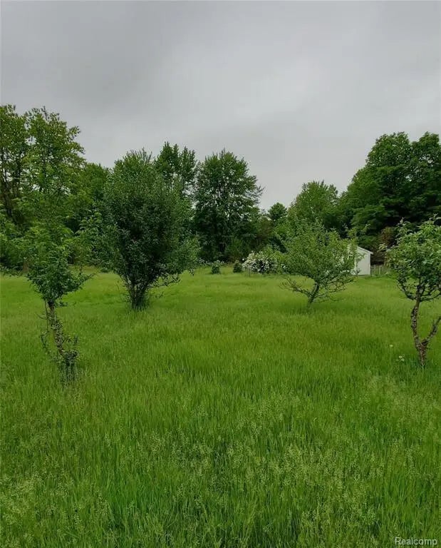 34620 California Street, Romulus