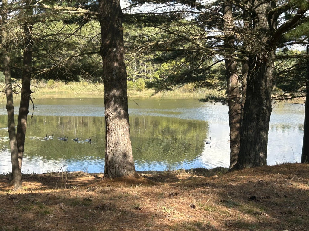 6878 Bantry Bay 3, Stanwood