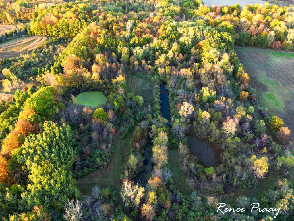 1665 116th Avenue, Otsego