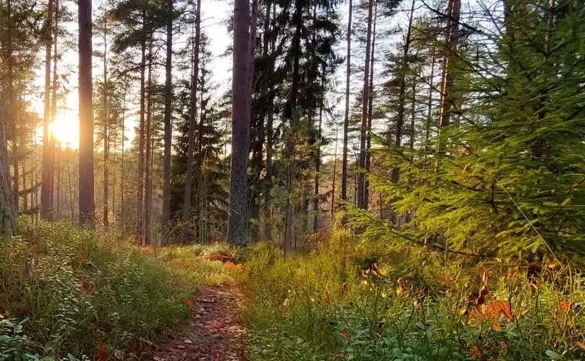 3711 Bradford Street, Grand Rapids