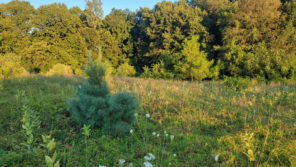 44702 56th Avenue, Paw Paw