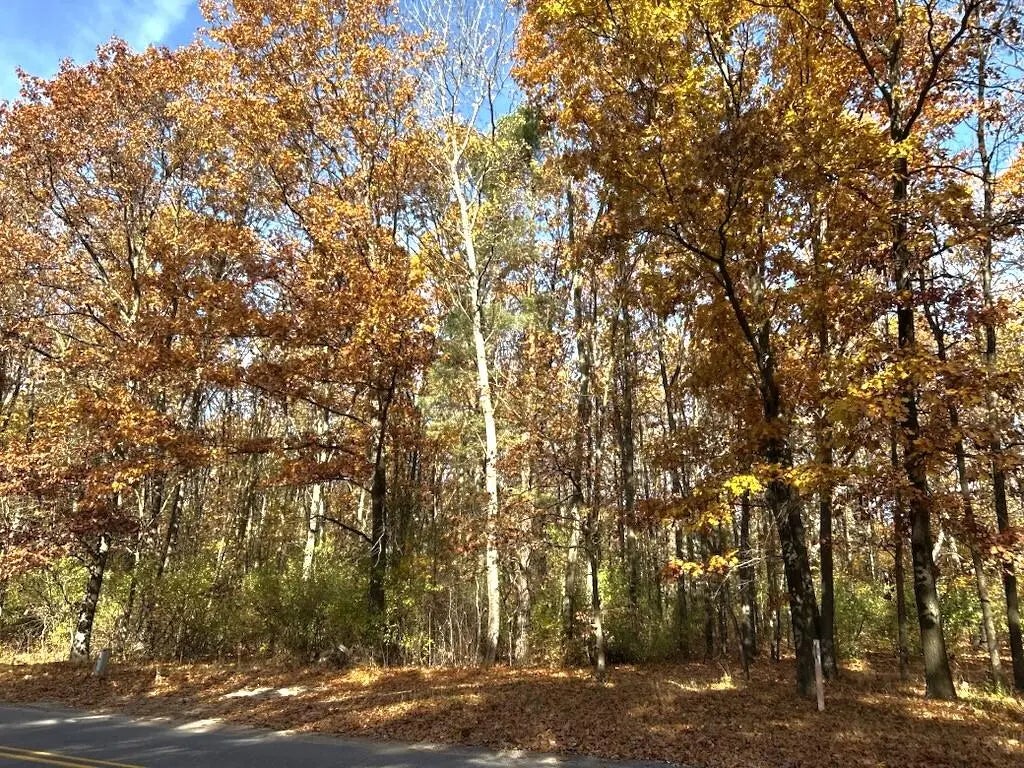 Vl Burroughs Street, Lowell