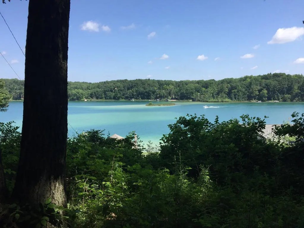 371 Burgess Lake Road, Greenville