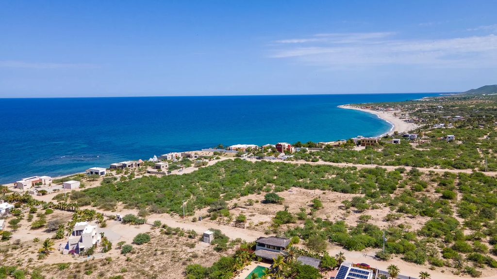 Cardonal, East Cape