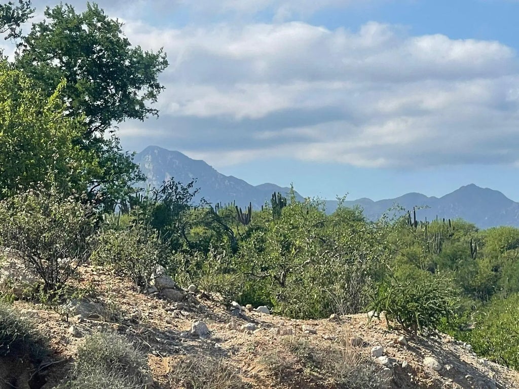 East Cape Developers Dream, East Cape