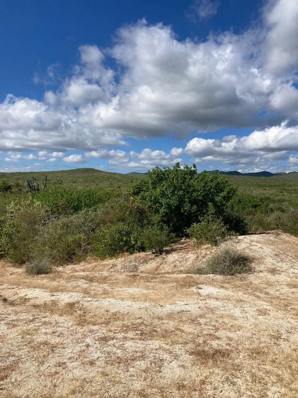 Lot 520, East Cape