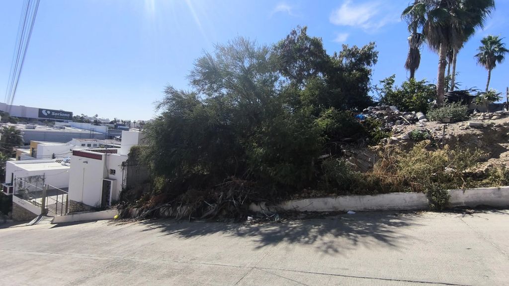 Magisterio San Jose Development Lot, San Jose del Cabo