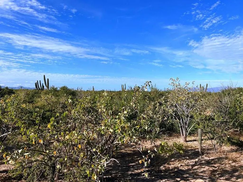 0245 Acre Lot Bahia Turquesa Large Desert, La Paz