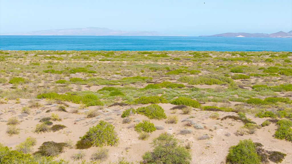 El Mogote Lot 42, La Paz