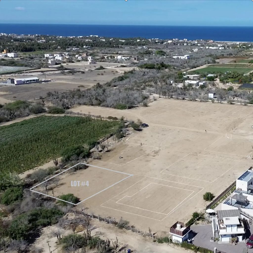 Lot 4, Gallo 64, Pacific