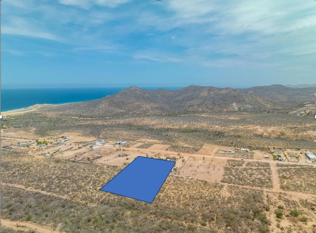 20 Playas Migrino Seller Fin, Pacific