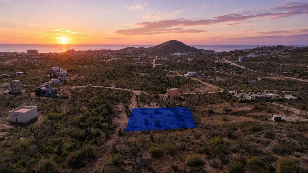 - Fire Sale - Lote Rafa, Pacific