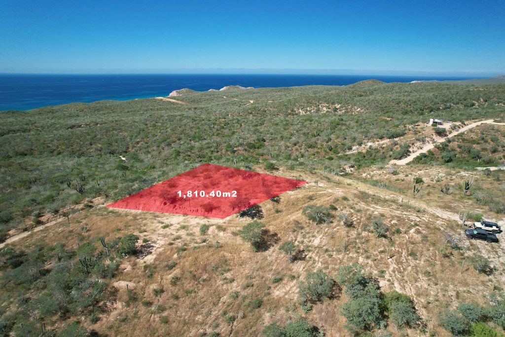Lot 33, Pacific