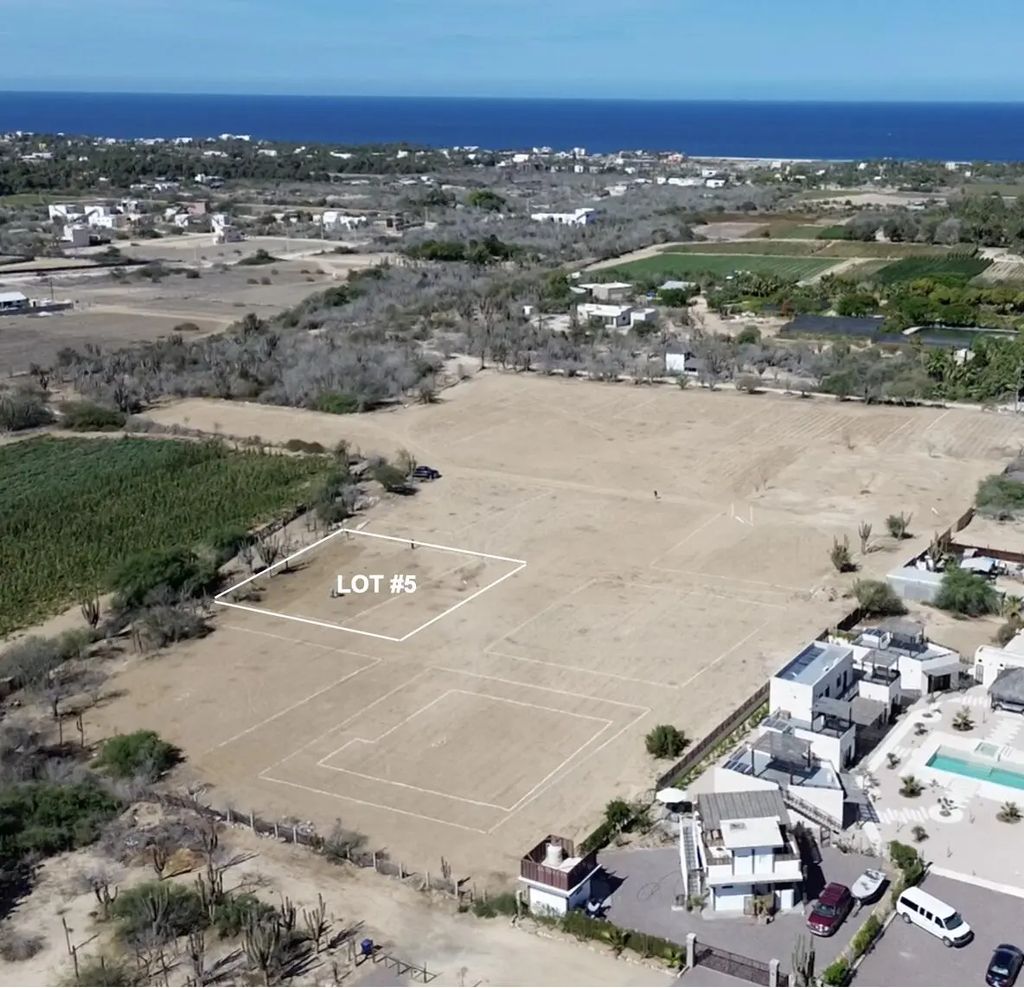 Lot 5, Gallo 64, Pacific