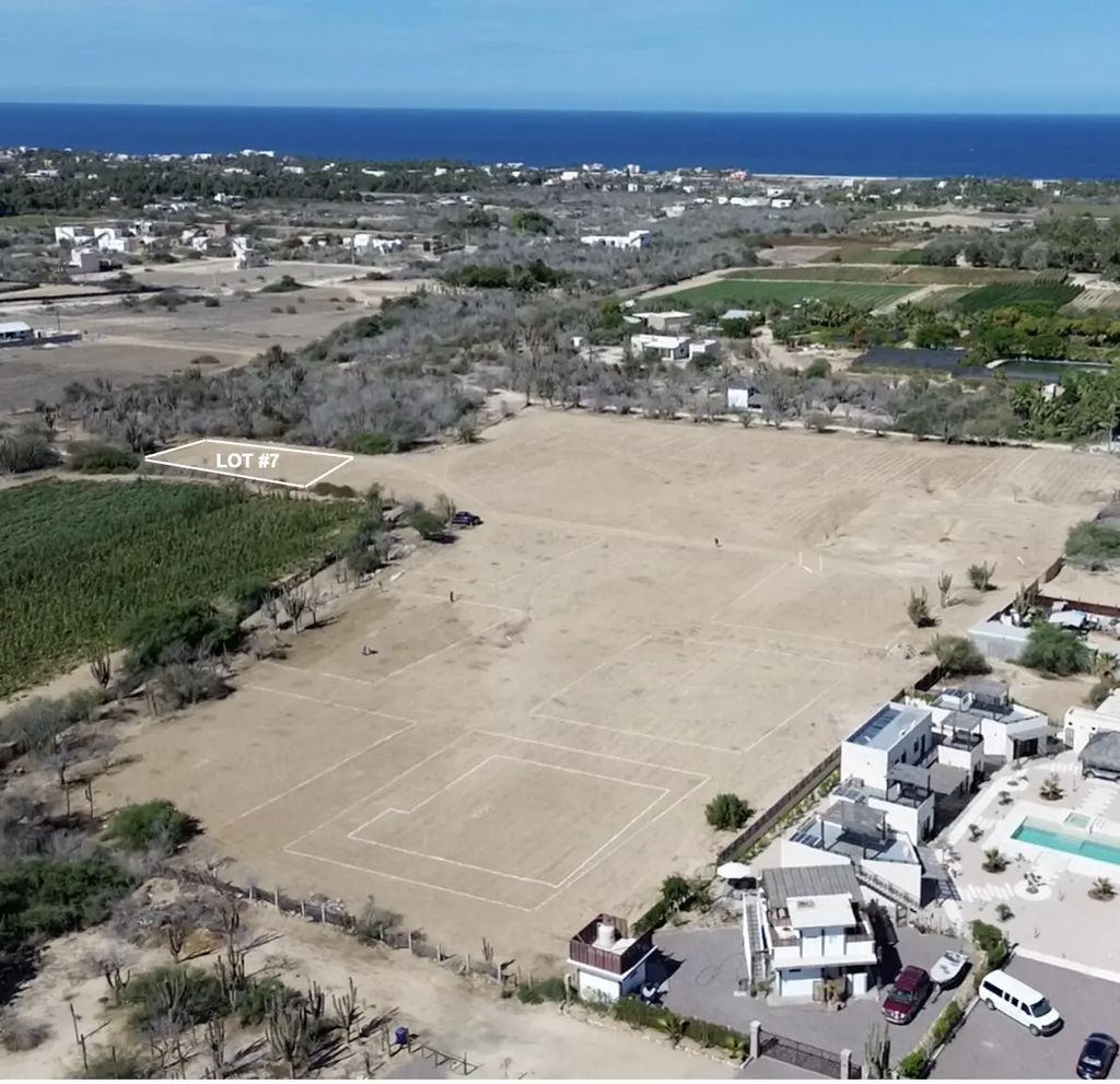 Lot 7, Gallo 64, Pacific