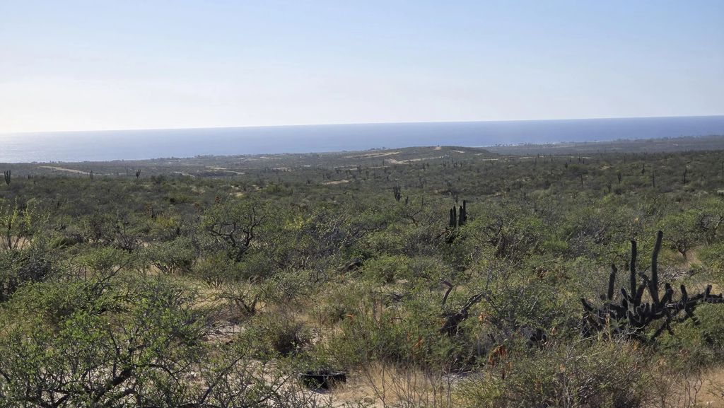 La Tinaja 007, Pacific