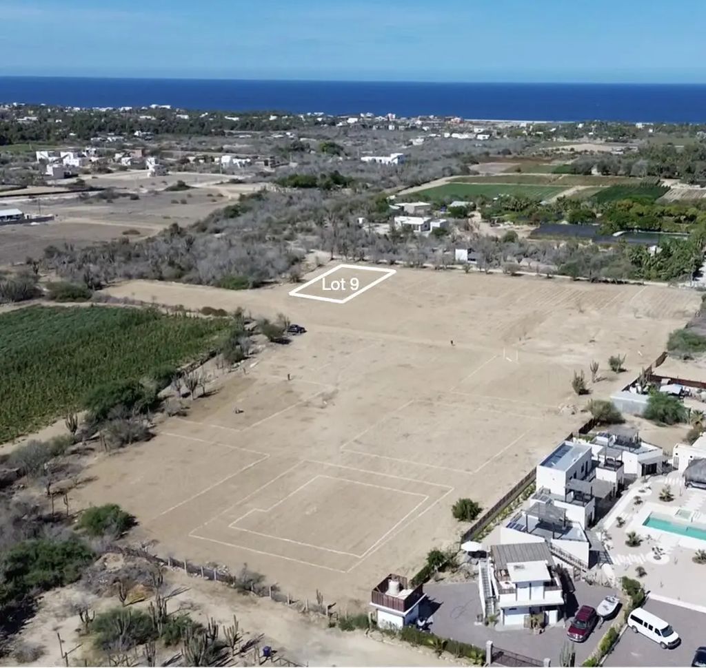 Lot 9, Gallo 64, Pacific