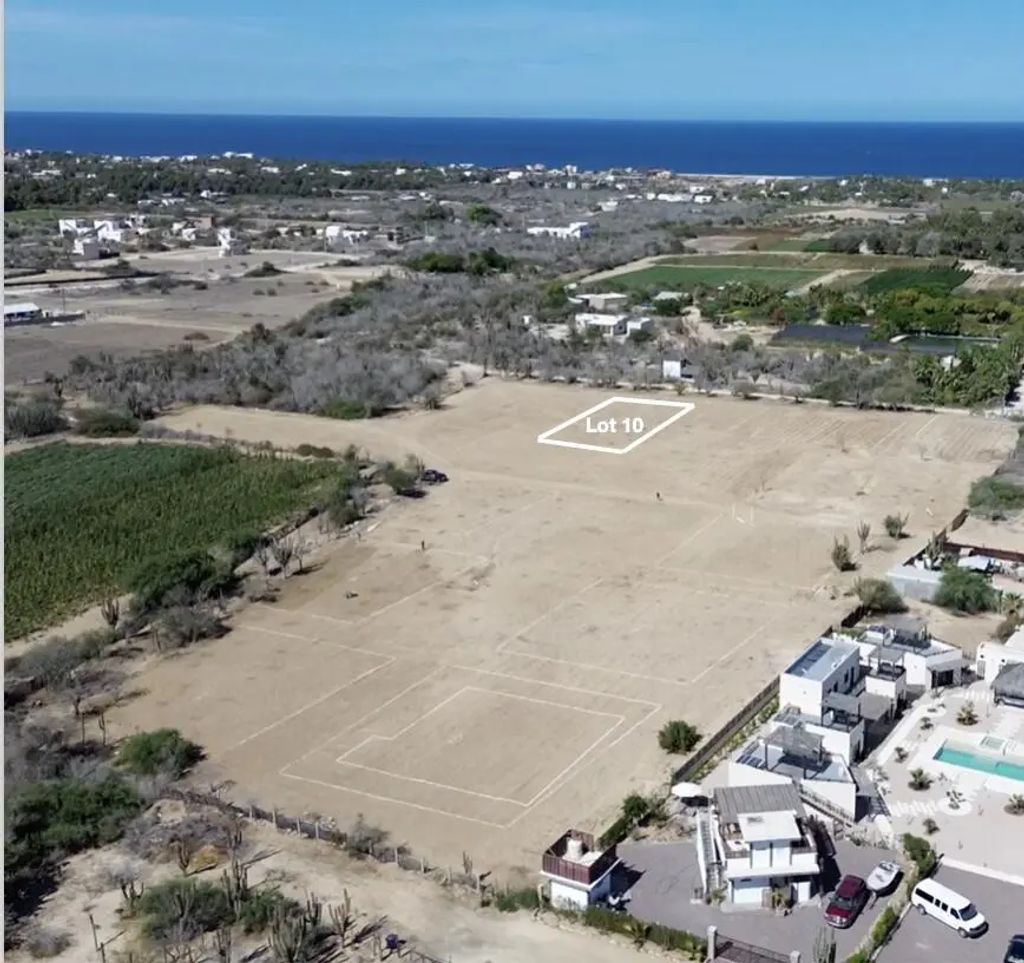 Lot 10, Gallo 64, Pacific