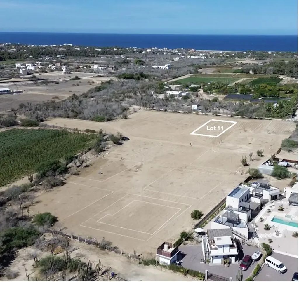 Lot 11, Gallo 64, Pacific