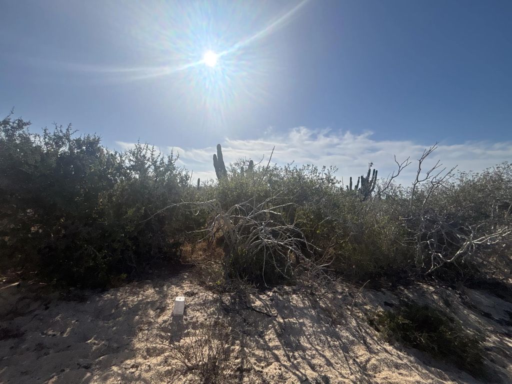 Camino De La Tiburon Agua Blanca Mza J10 Lote 18a, Pacific