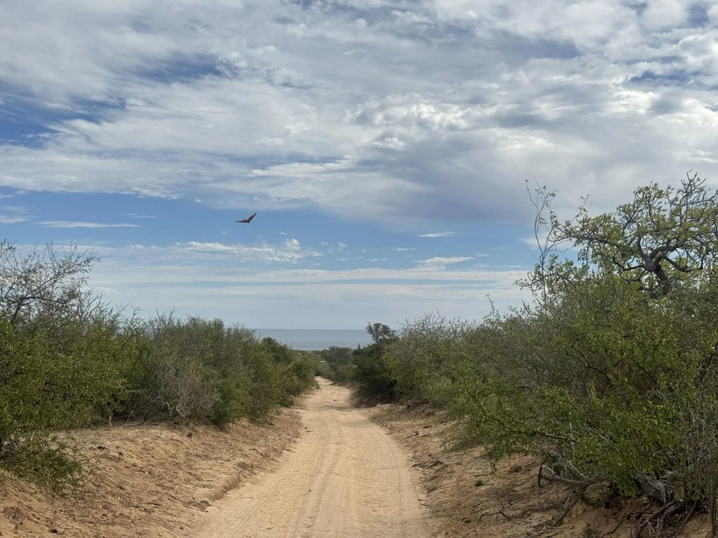 Boca Del Salado Near Los Frail Beach Access Lot, East Cape