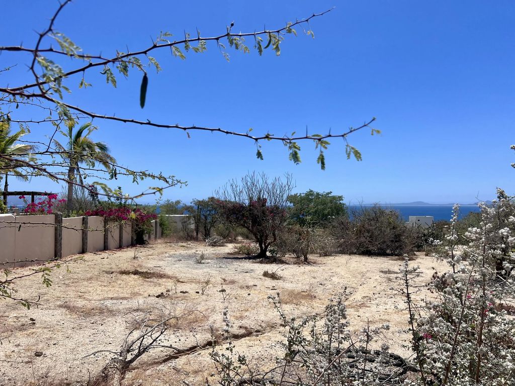 Hipocampo Lot B, La Paz
