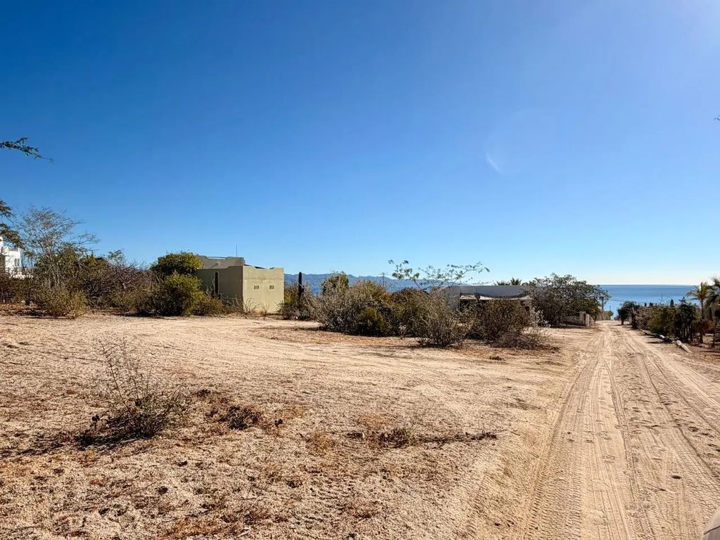 Hipocampo Lot A, La Paz