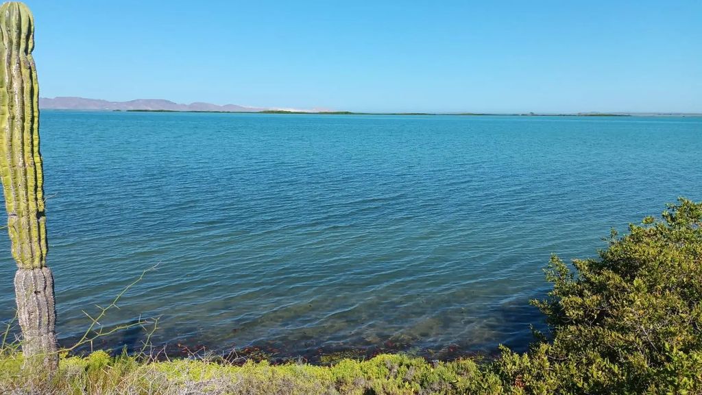 Beachfront Land In Mulege, Mulege