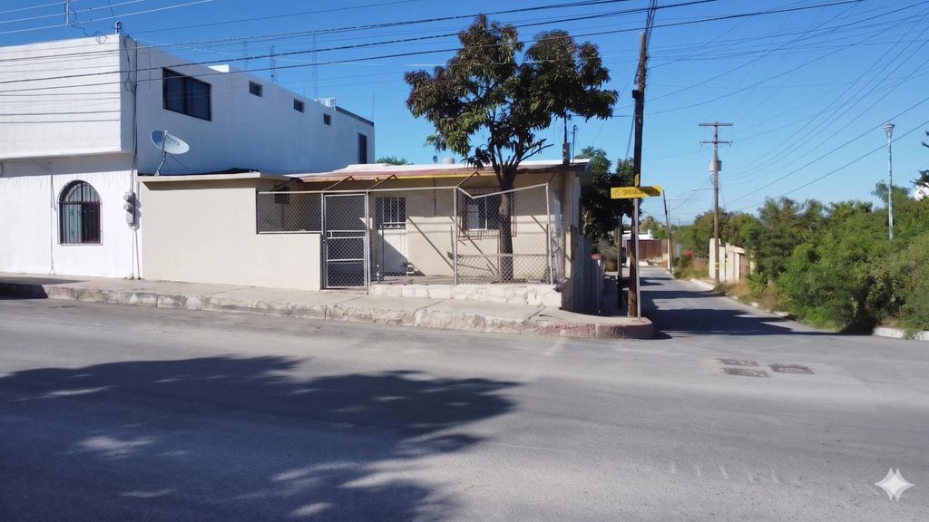 Damiana Corner Rosarito, San Jose del Cabo