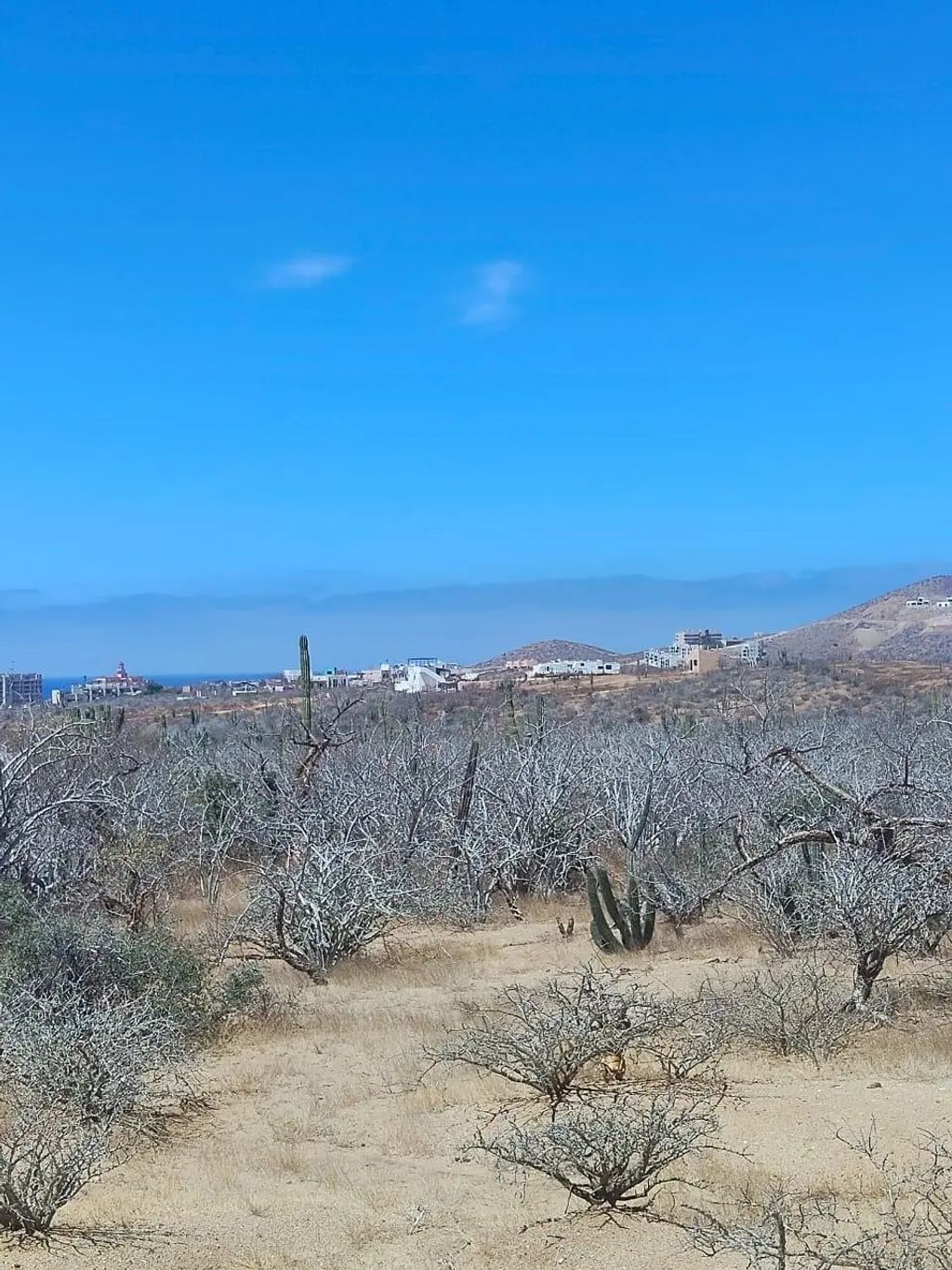 Land Oceanview Los Cerritos, Pacific
