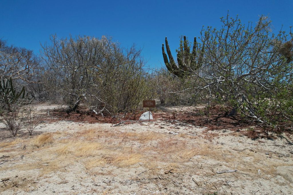 Circuito Del Sol Colina Del Sol Lote 6 Mnz. 60, East Cape