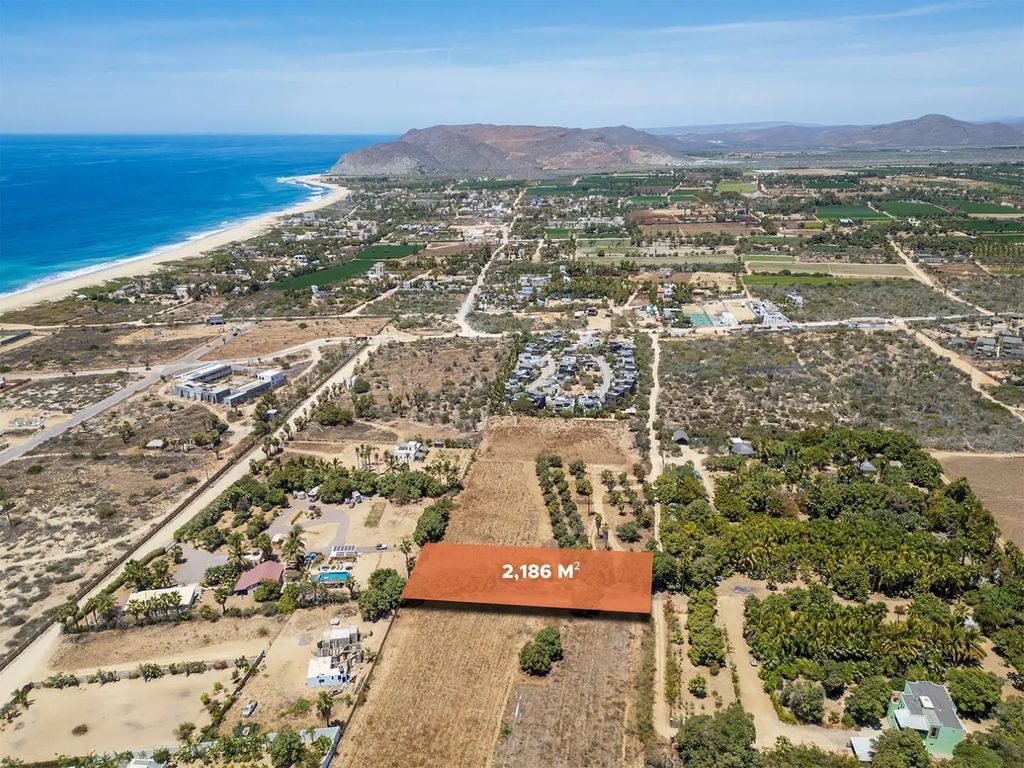 Huerta La Alegria 6, Pacific