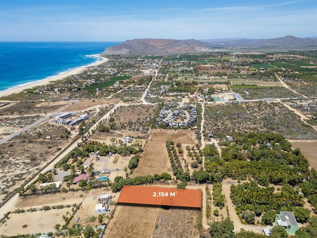 Huerta La Alegria 7, Pacific