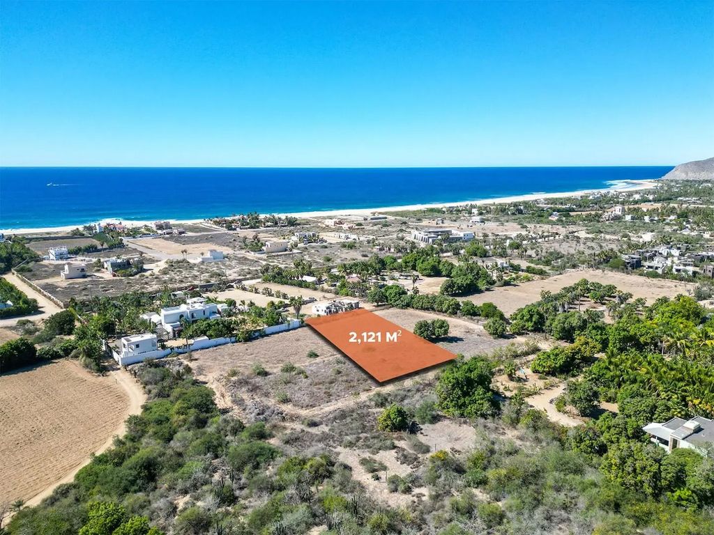 Huerta La Alegria 8, Pacific